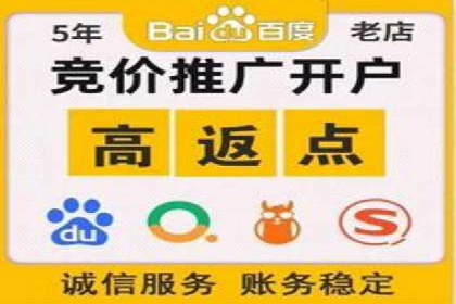 百度竞价代理实战：案例剖析与优化策略